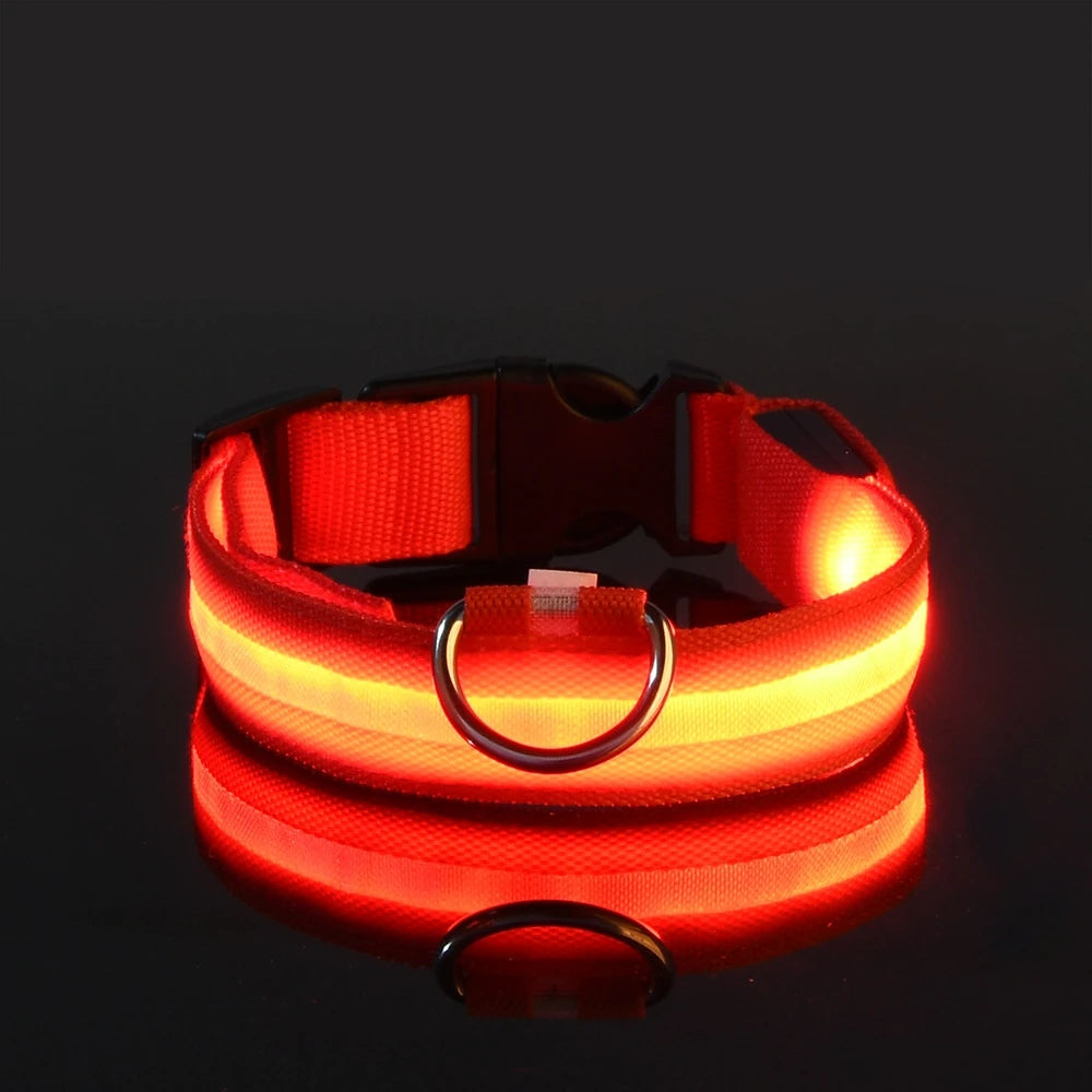 LED Glow Dog Leash & Luminous Collar – Night Safety Flashing Pet Leash for Dogs | Reflective Fluorescent Dog Walking Gear