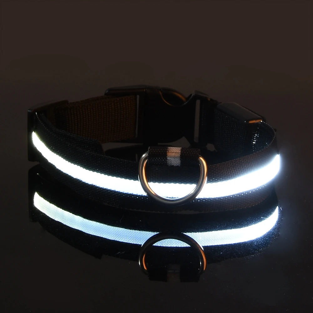 LED Glow Dog Leash & Luminous Collar – Night Safety Flashing Pet Leash for Dogs | Reflective Fluorescent Dog Walking Gear