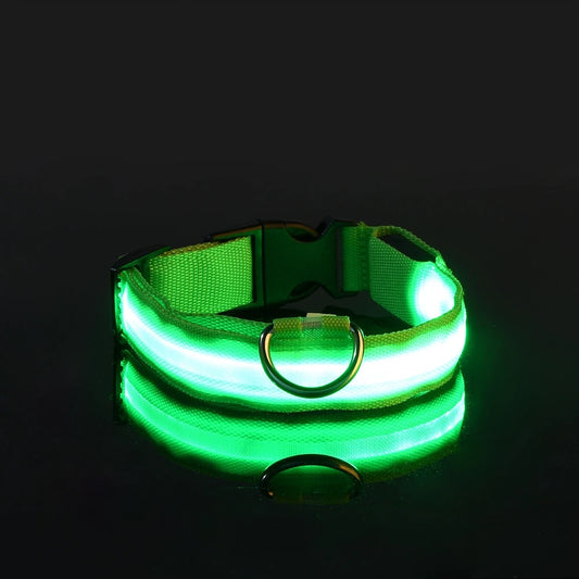 LED Glow Dog Leash & Luminous Collar – Night Safety Flashing Pet Leash for Dogs | Reflective Fluorescent Dog Walking Gear