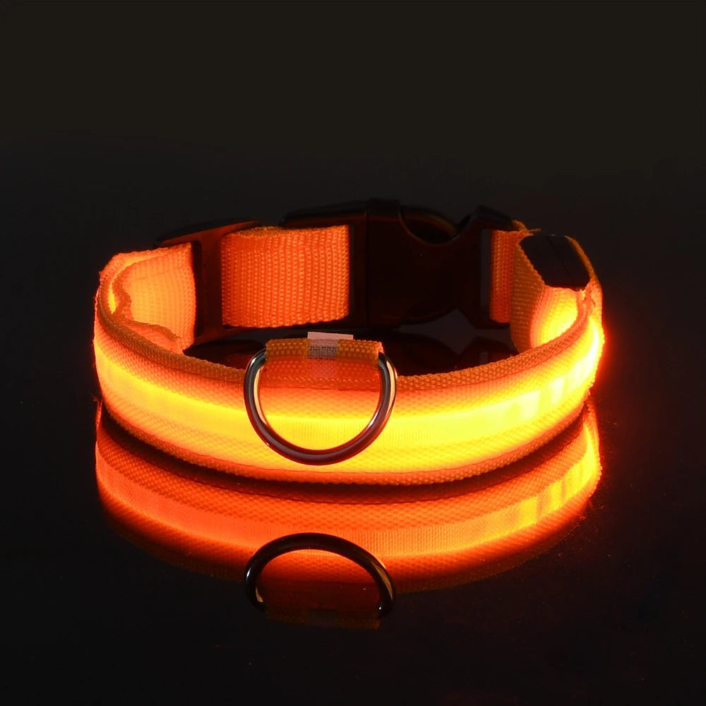 LED Glow Dog Leash & Luminous Collar – Night Safety Flashing Pet Leash for Dogs | Reflective Fluorescent Dog Walking Gear